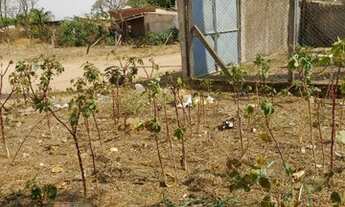 Imagem 4: Atenção Oportunidade Terreno Novo Século