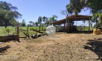 Imagem 6: Alto Paraíso - Sítio - 23 Alqueires Alto Paraiso