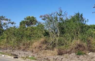 Imagem 7: Oportunidade: Área com 13.120m2 - Porto Grande - Araquari - SC