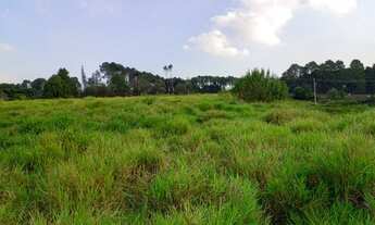 Imagem 2: SAO ROQUE - Area - TABOAO