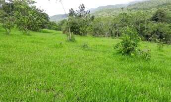 Imagem 5: Sítio 5 alqueires com Rio no final do Sítio (Willian Ricardo