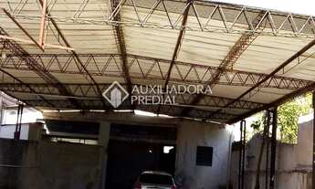 Imagem 7: PORTO ALEGRE - Terreno Padrão - Vila Ipiranga