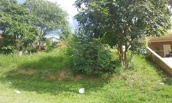 Imagem 2: Terreno pronto para construir