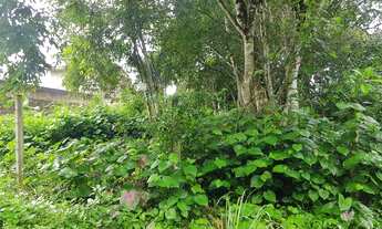 Imagem 3: Lote/Terreno para venda com 1200m² em Aldeia dos Camarás - Camaragibe - PE