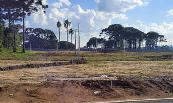 Imagem 5: Terrenos em condomínio fechado em São José dos Pinhais