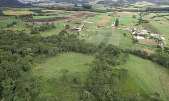 Imagem 7: Área Rural com 4,40ha de área total, para venda. São Franscisco, Urubici