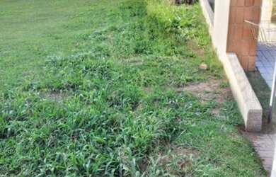 Imagem 7: Terreno à venda, 480 m² por R$ 980.000,00 - Alphaville - Santana de Parnaíba/SP