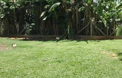 Imagem 4: ARMAZEM COMERCIAL em BRAGANÇA PAULISTA - SP, BOM RETIRO