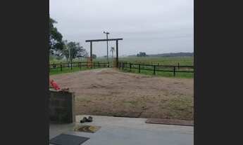 Imagem 6: Linda chácara em São João Itaperiú-SC,Terreno 50x85,ESTUDO PERMUTA