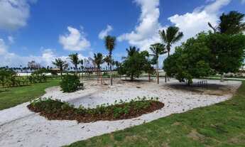 Imagem 3: Lote/Terreno para venda possui 450 metros quadrados em Amado Bahia - Mata de São João - BA