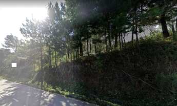 Imagem 3: CAXIAS DO SUL - Terreno Padrão - SAGRADA FAMÍLIA