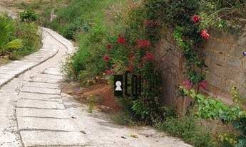 Imagem 4: Vende-se Chácara de Fácil acesso em Rio Pomba !!!