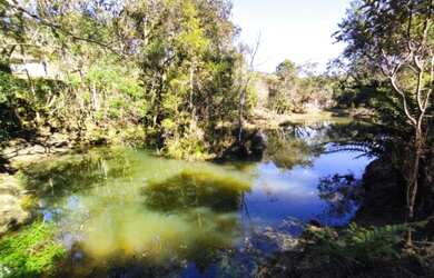 Imagem 7: Chácara com 4,5 Alqueires Campo Magro - Paraná