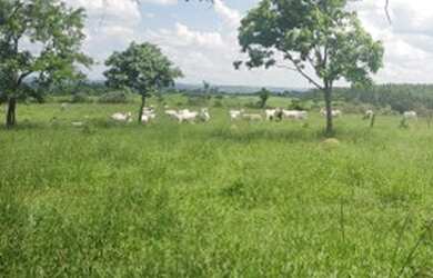 Imagem 5: Fazenda/Sítio/Chácara para venda tem 2649900 metros quadrados em Zona Rural - Tietê - SP