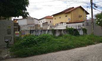 Imagem 5: EXELENTE Terreno