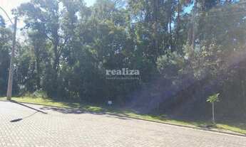 Imagem 3: TERRENO NO TERRAS ALTAS EM GRAMADO