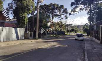 Imagem 6: CANELA - Casa Padrão - Centro