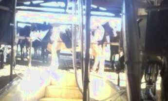 Imagem 5: Chácara para Venda em Petrolina de Goiás, Zona Rural, 3 dormitórios, 1 banheiro, 1 vaga