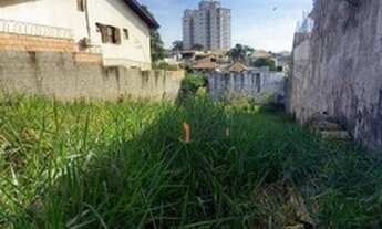 Imagem 5: Terreno à venda, 450 m² por R$ 690.000,00 - Vila Oliveira - Mogi das Cruzes/SP