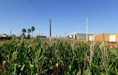 Imagem 5: Vendo sitio perimetro urbano cambé