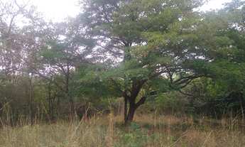 Imagem: Lote/Terreno para venda possui 1000 metros