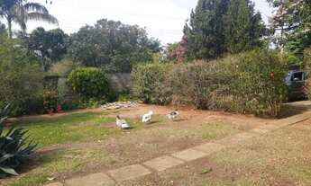 Imagem 6: Venda - Chácara - Praia dos Namorados - Americana - SP