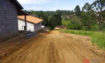 Imagem 2: Terreno à venda, 17131 m² - Caete (Mailasqui) - São Roque/SP