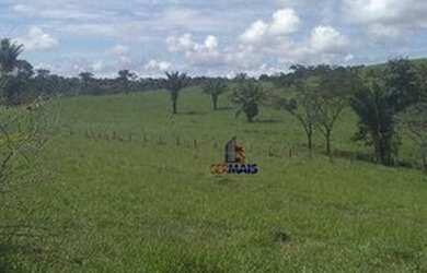 Imagem 4: Sítio à venda por R$ 2.520.000 - Zona Rural - Jaru/RO