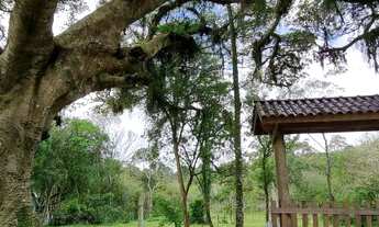 Imagem 7: Belo sítio com açude e arborizado, com frutíferas em Águas claras, confira!