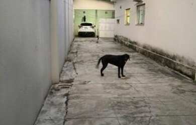 Imagem 4: CASA RESIDENCIAL RUA DR. FREITAS LINS N° 48, JARDIM SÃO PAULO