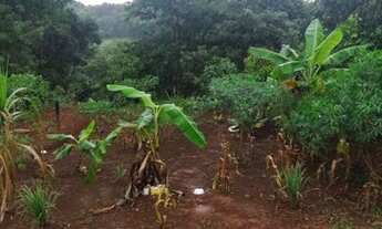 Imagem 8: Chacara jardim são jose