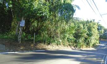 Imagem: CANASVIEIRAS