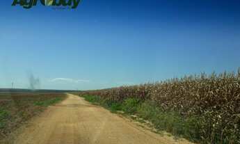 Imagem 3: Fazenda Município de Jaciara mt