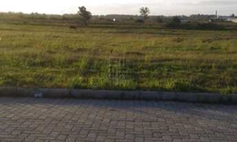 Imagem 5: PELOTAS - Terreno Padrão - Centro