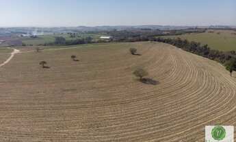 Imagem 3: Ótima fazenda a venda próxima a Rodovia Castelo Branco em Porto Feliz
