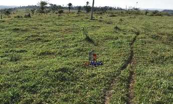 Imagem 3: Sítio à venda, 943800 m² por R$ 1.755.000,00 - Centro - Alta Floresta D'Oeste/RO