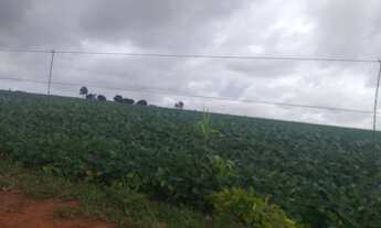 Imagem 3: 0portunidade: vendo excelente fazenda com 74 hectares, TERRA PARA PLANTIO DE SOJA