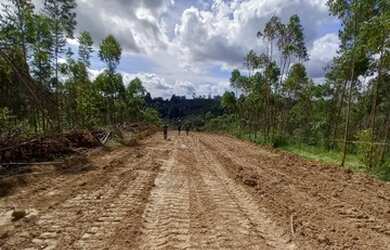 Imagem 6: Qualidade De Vida, Lote a Venda No Interior