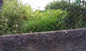 Imagem 7: Lote de 1.000 m² Região Central de Neves