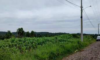 Imagem 4: Terreno em Dois Irmãos - bairro Beira Rio REF: 210480