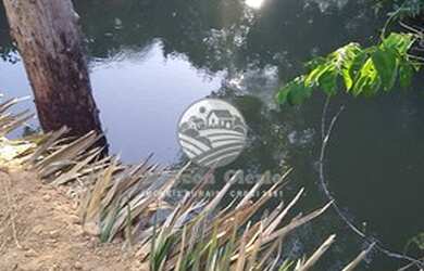 Imagem 3: Machadinho D'Oeste - Sítio - 15 alqueires