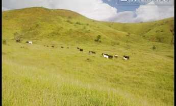 Imagem 3: FAZENDA CORTE/LEITE, COM VÁRZEA, BOA SEDE- CACHOEIRA PAULISTA - SP