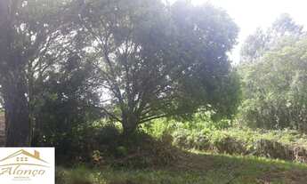 Imagem 7: Área de terra em Nova Petrópolis , bairro Nova Harmonia Ref.:791