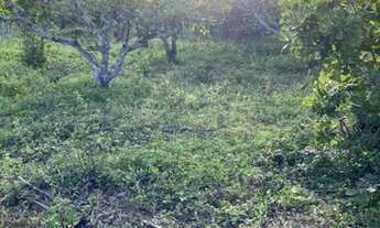 Imagem: Sítio no Carneiro