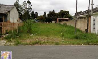 Imagem 3: Otimo terreno para investidor no bairro São Francisco/Araucária