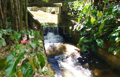 Imagem 3: Fazenda/Sítio/Chácara para venda possui 190000 metros quadrados com 4 quartos