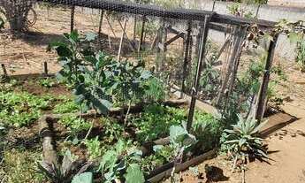 Imagem 7: Casa á Venda Bica DER