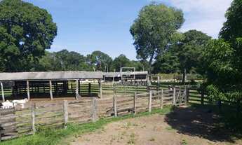 Imagem 6: Fazenda Pousada 30 Quartos Cuiabá - MT