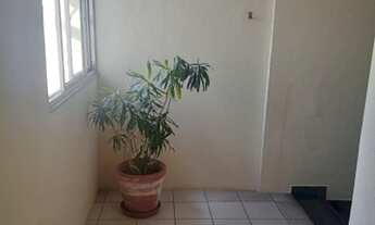 Imagem 3: CABO FRIO - Kitchenette/Conjugados - Jardim Flamboyant