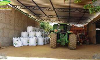 Imagem 6: Fazenda de soja a 70 km de Goinia-Go